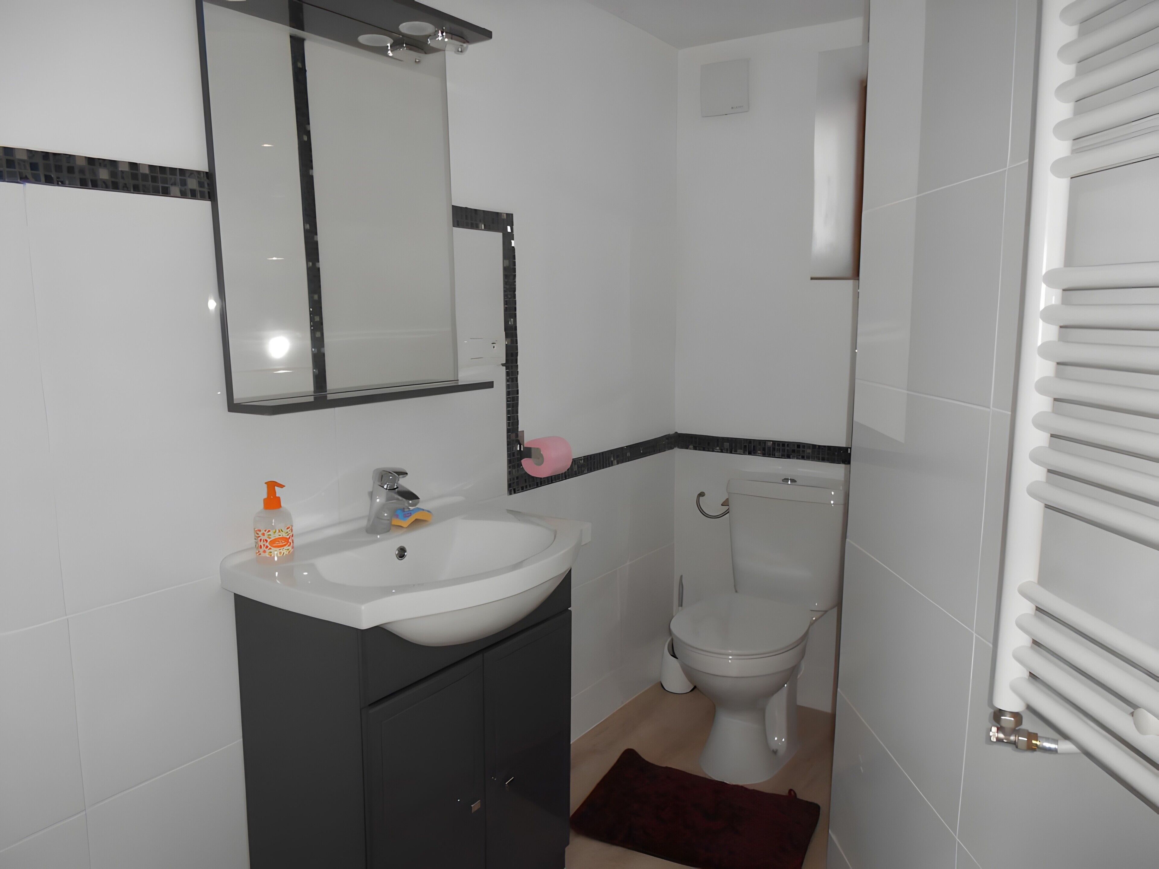 Shower, free toiletries, hair dryer