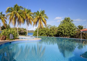 A clear blue pool surrounded by palm trees and lush greenery.