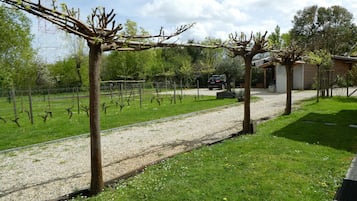 Overnatningsstedets område