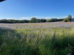 House | Exterior - 4 Star Holiday Home in Nykobing Sj (Nykobing Sjaelland)