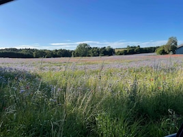 独立别墅 | 外观