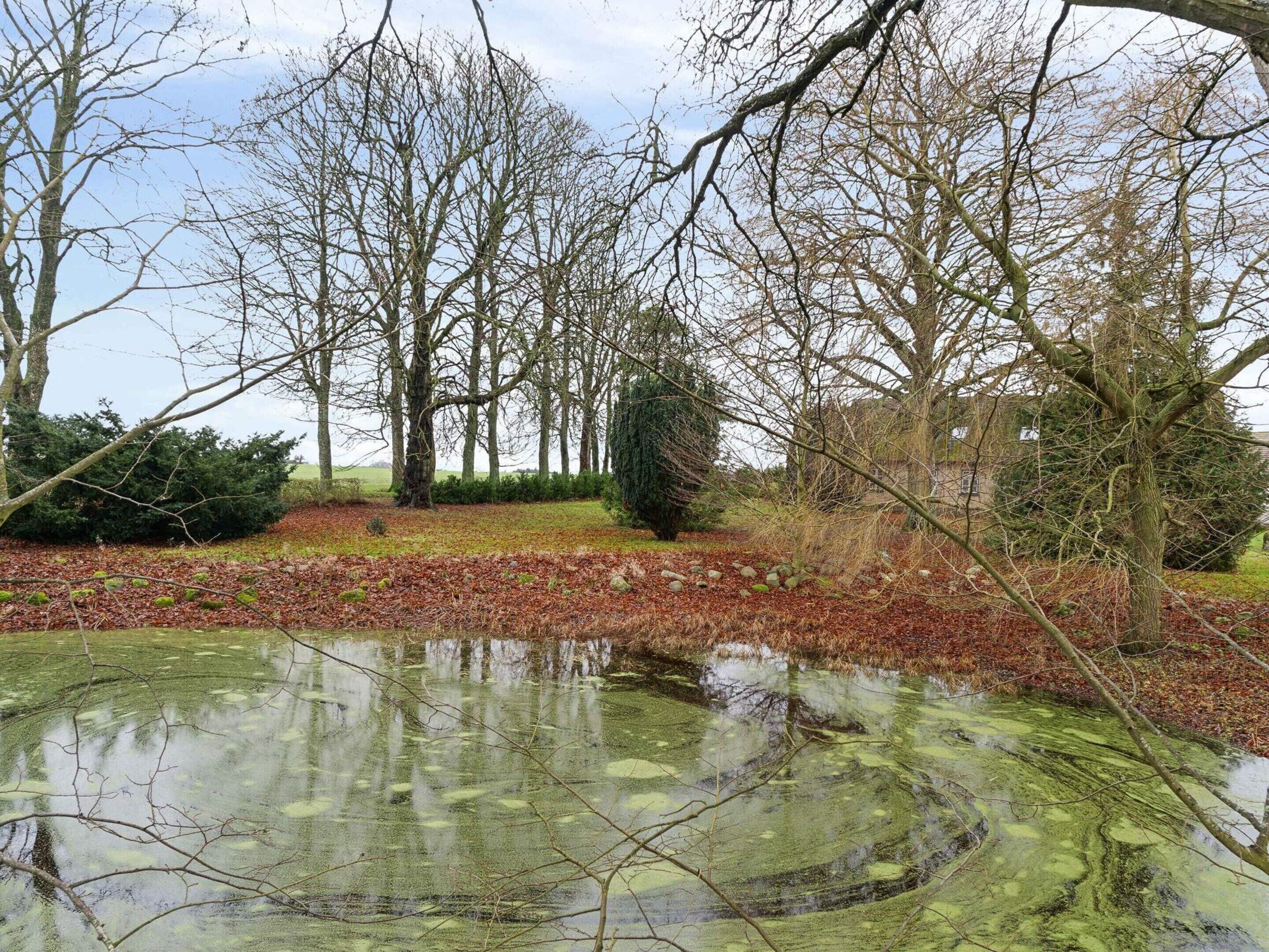 Maison | Terrain de l’hébergement 