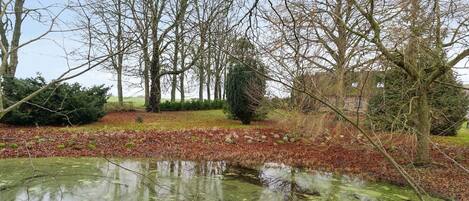 House | Property grounds