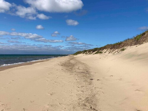 5 Star Holiday Home in Skagen