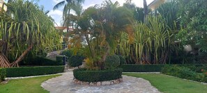 Property grounds - Marvilla: Coastal Condo Poolside + Ocean View (Boca Chica)