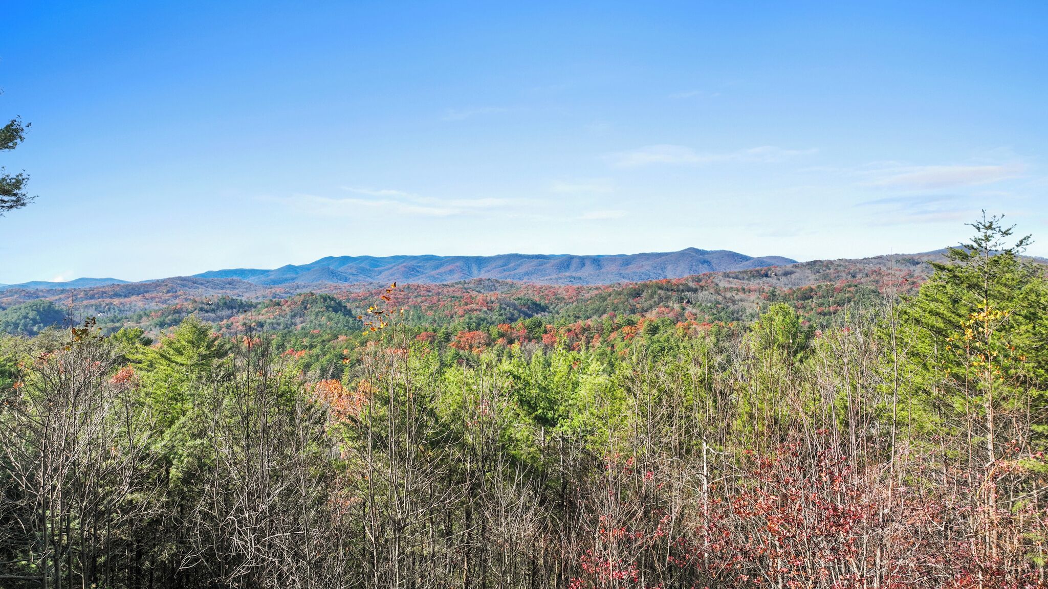 A mountainous landscape with dense forest and clear skies.