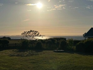 House | Property grounds