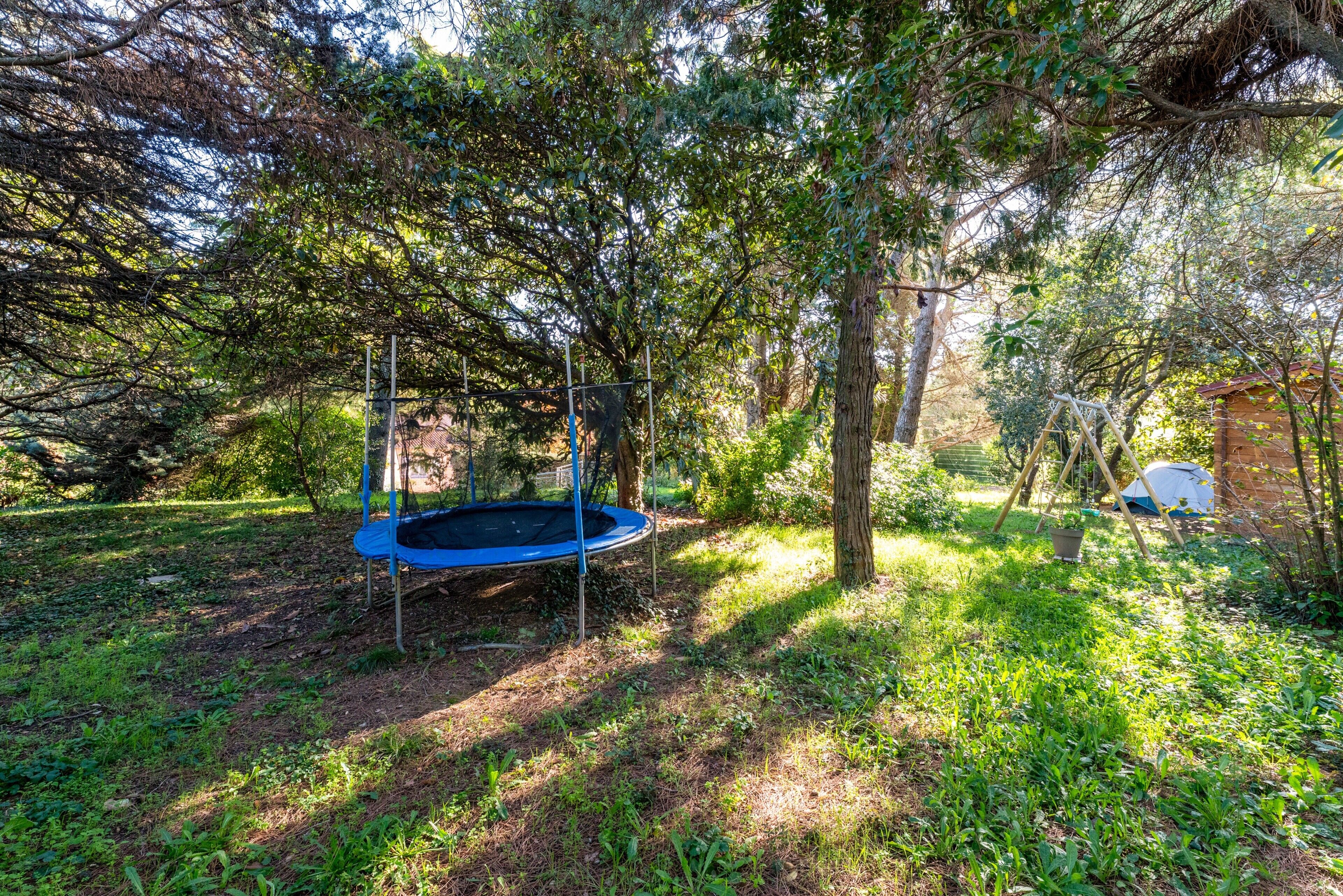 A trampoline in a wooded area with trees and a small structure in the background.