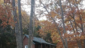 A rustic cabin with a balcony, surrounded by trees with autumn leaves. - Rustic  cabin  in Lincoln Maine  (Lincoln)