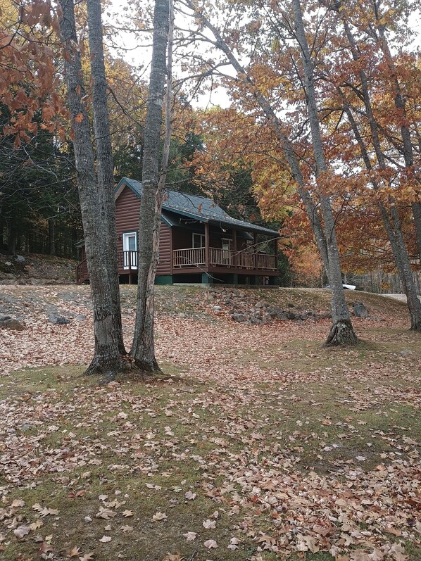 Eine rustikale Holzhütte mit Balkon, umgeben von Bäumen mit Herbstlaub.
