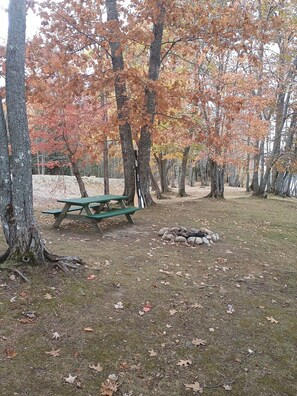 Ein Picknickbereich mit einem grünen Tisch und Bänken, umgeben von Bäumen mit Herbstlaub.