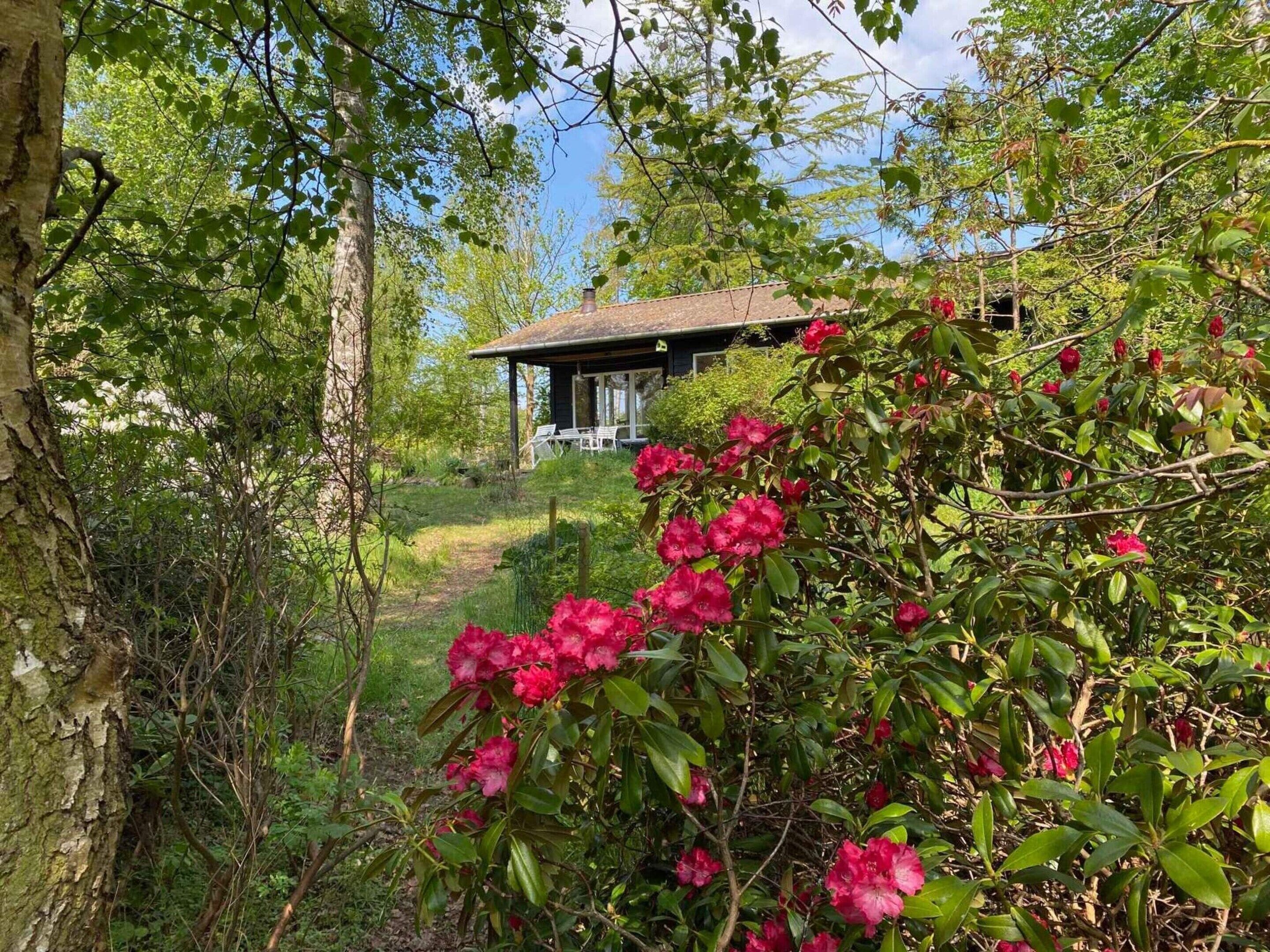 Nhà | Ngoại thất