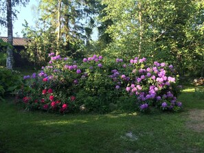 House | Exterior - 5 Star Holiday Home in Farevejle (Faarevejle)