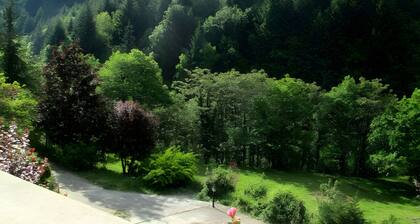 Chambre dâhĂŽtes « Chambre 2 â Jasmin » avec piscine partagĂ©e, terrasse commune et Wi-Fi