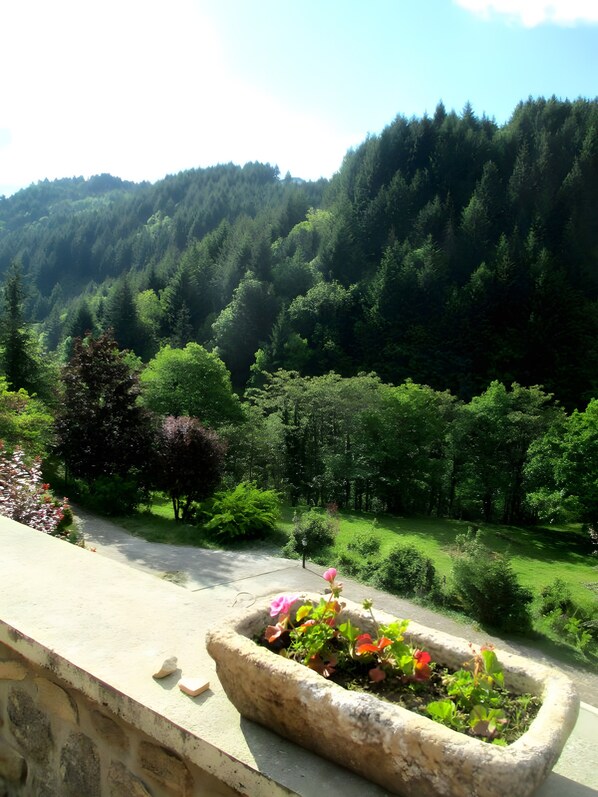 Terrain de l’hébergement 