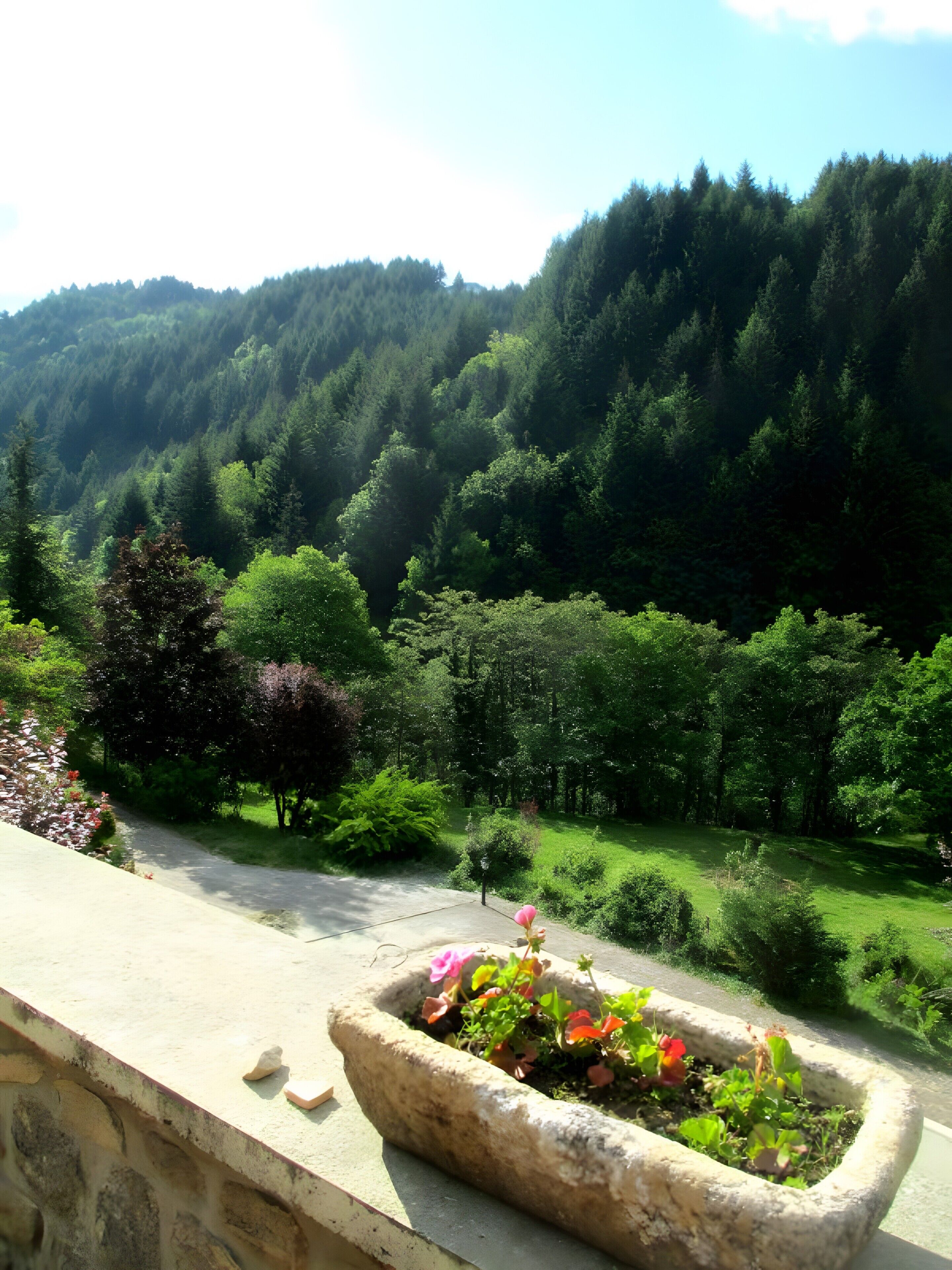 Terrain de l’hébergement 