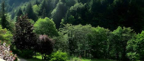 Terrain de lâhĂ©bergement