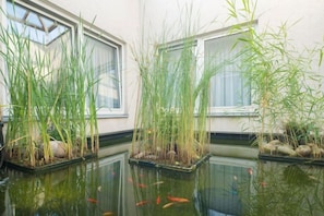 A tranquil indoor pond with tall grasses and koi fish, surrounded by windows. - Best Western Hotel Im Forum Muelheim (Mulheim an der Ruhr)