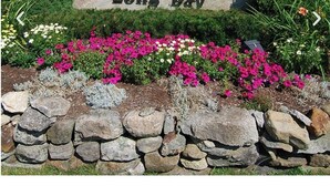 A stone sign with 'South Down Shores Long Bay' written on it, surrounded by a garden with pink flowers and a stone wall.