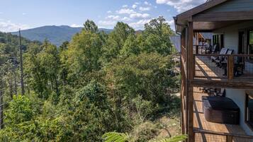 Estudio | 4 habitaciones
