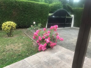 Property grounds - Chambre d'hote chez christiane for 2 people (Lourdes)