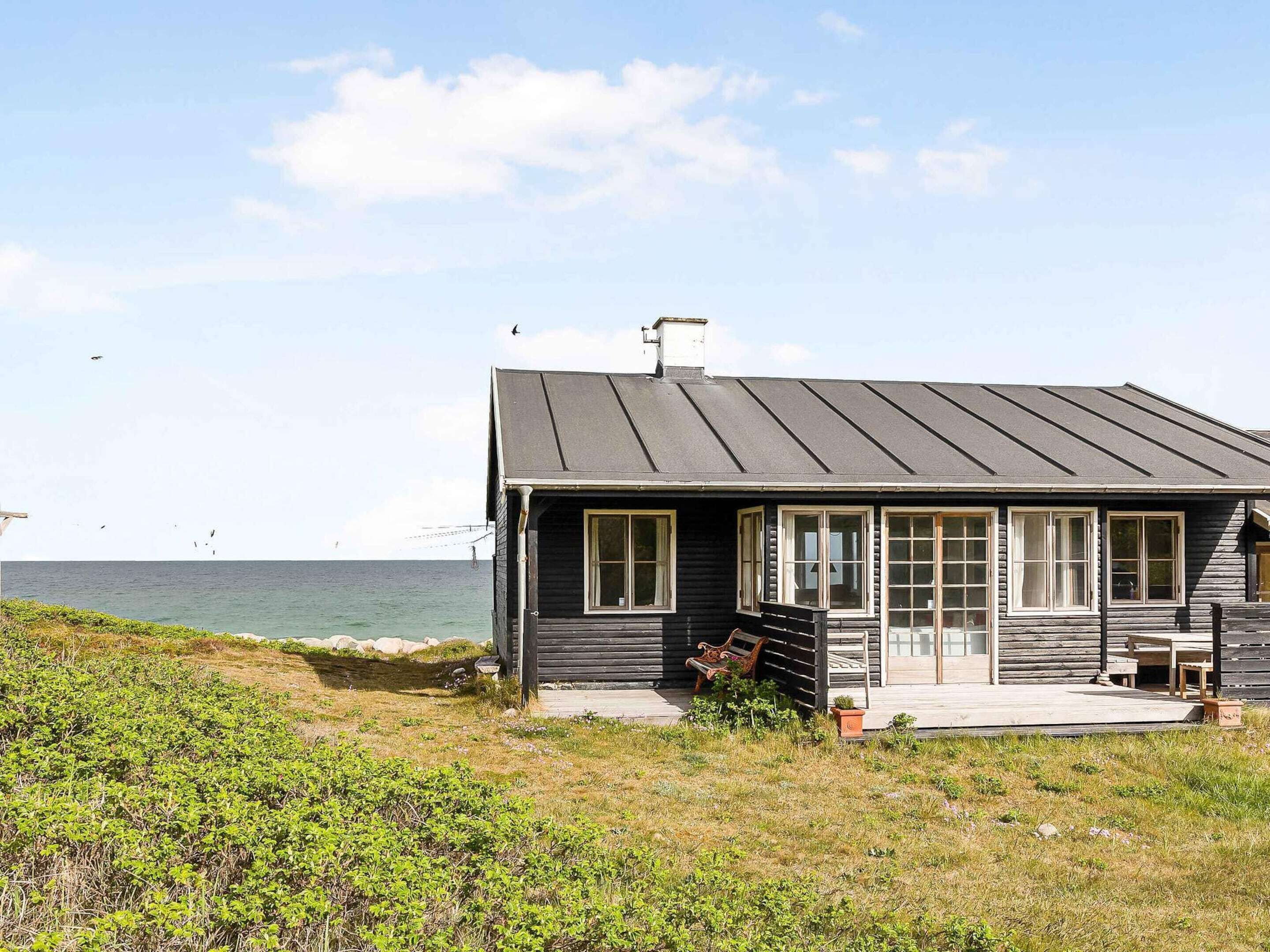 Une cabane en bois avec un toit en métal, de grandes fenêtres et une véranda dotée de bancs.