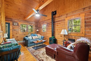 电视、DVD 播放器