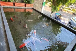 صورة غير مصنفة، 3 من 8، زرّ