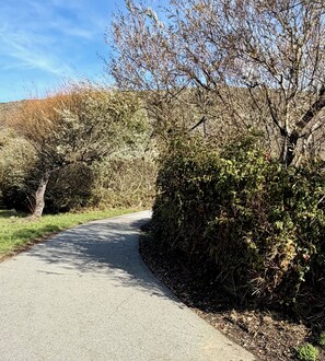 Property grounds - Shorebirds 132 - Top Floor! Premium 1 Bd OceanFront - 180° Views - Very Private! (Watsonville)