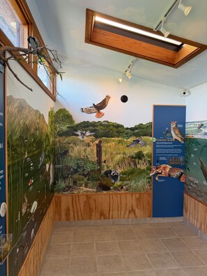 Interior - Shorebirds 132 - Top Floor! Premium 1 Bd OceanFront - 180° Views - Very Private! (Watsonville)