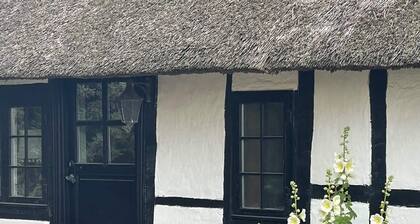 5 Star Holiday Home in Holeby