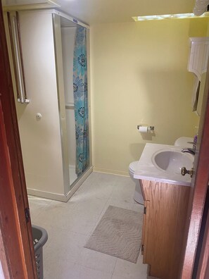 A bathroom with a shower, toilet, sink, and a wooden cabinet. - Cozy, spacious house located near historic downtown near shopping and dining. (Watertown)