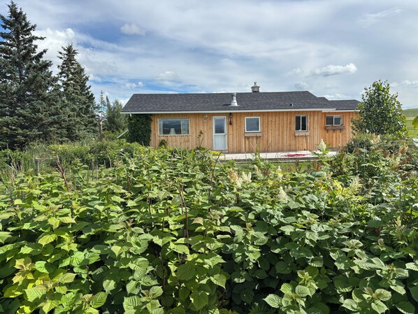 Exterior - Cozy Ranch Cabin at Historic Farm Two53 (Millarville)