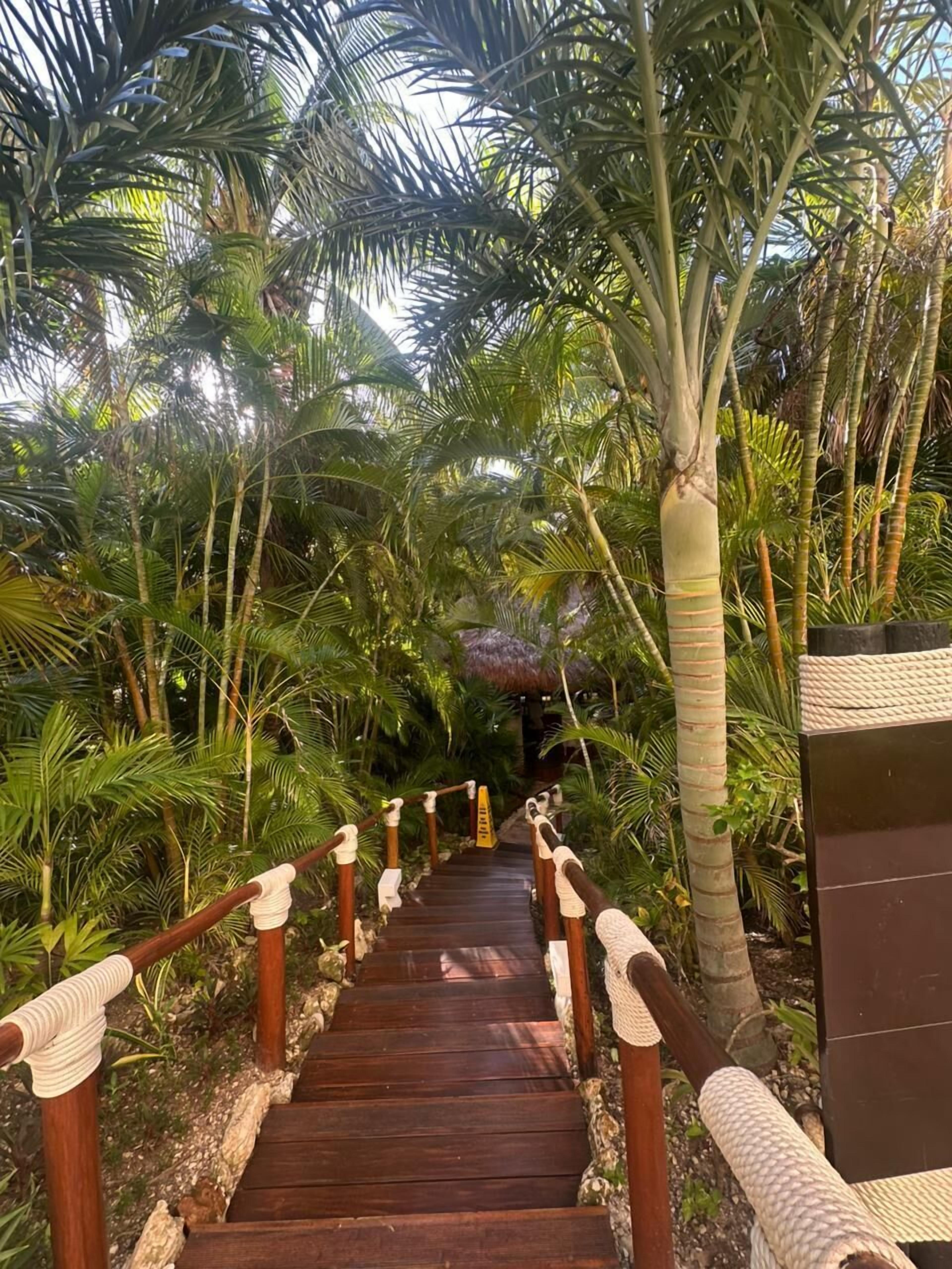 Behandlungsräume für Paare, Sauna, Dampfbad, Thermalbad/Mineralquelle