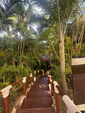 Salas para tratamentos a dois, sauna seca, sauna a vapor