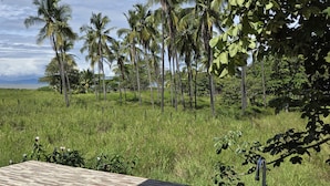 A view from a balcony with a stone-tiled floor, a sink, and a view of a grassy field with palm trees and a distant body of water. - Jane's Beach Resort (El Roble)