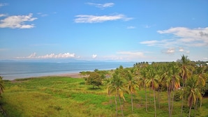 A coastal landscape with a beach, palm trees, and a clear sky. - Jane's Beach Resort (El Roble)