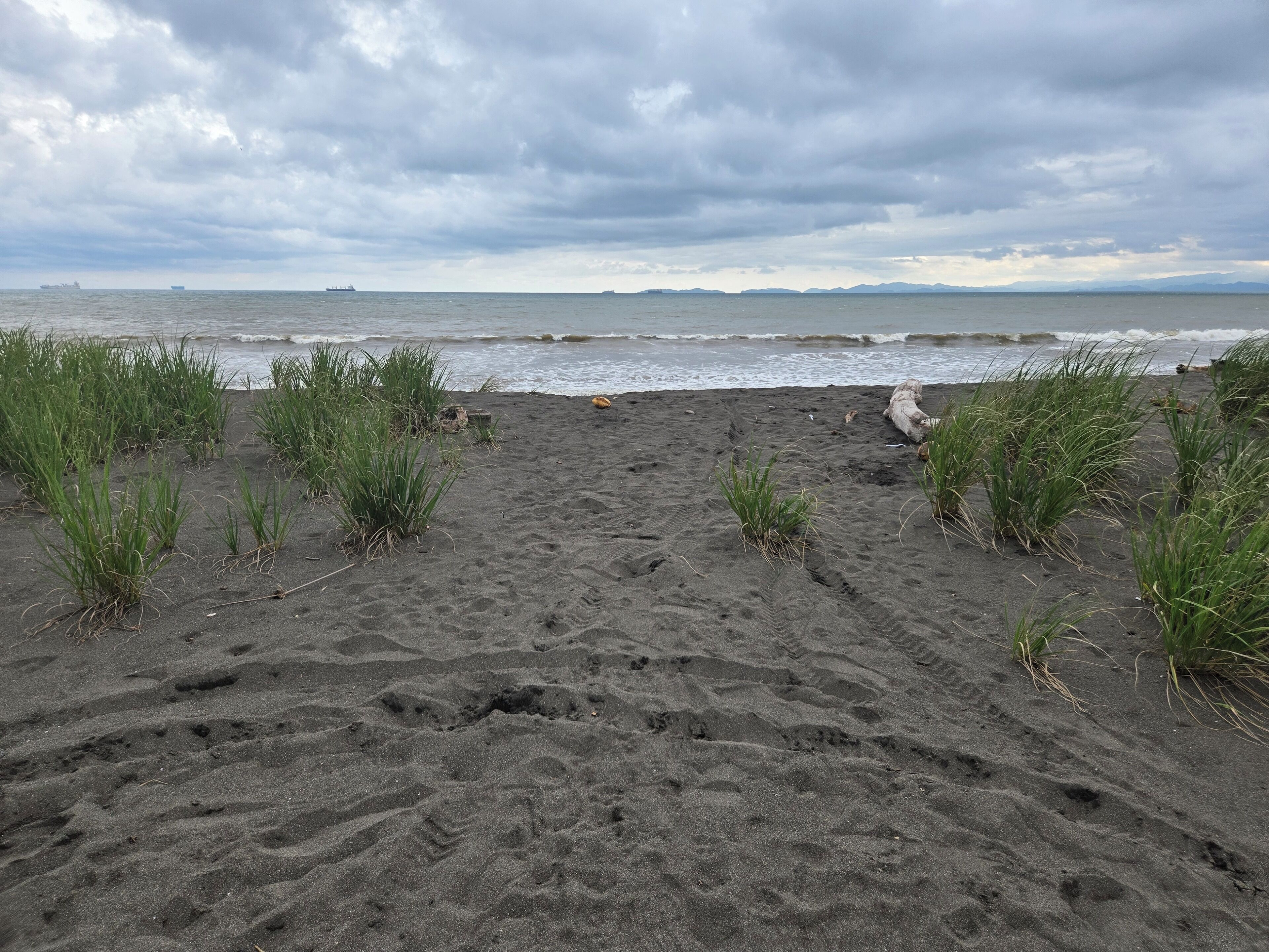 A beach with sand, grass, and waves.