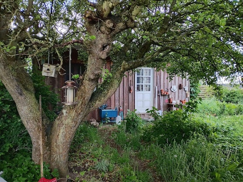 4 Star Holiday Home in Kirke Hyllinge