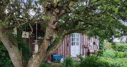 4 Star Holiday Home in Kirke Hyllinge