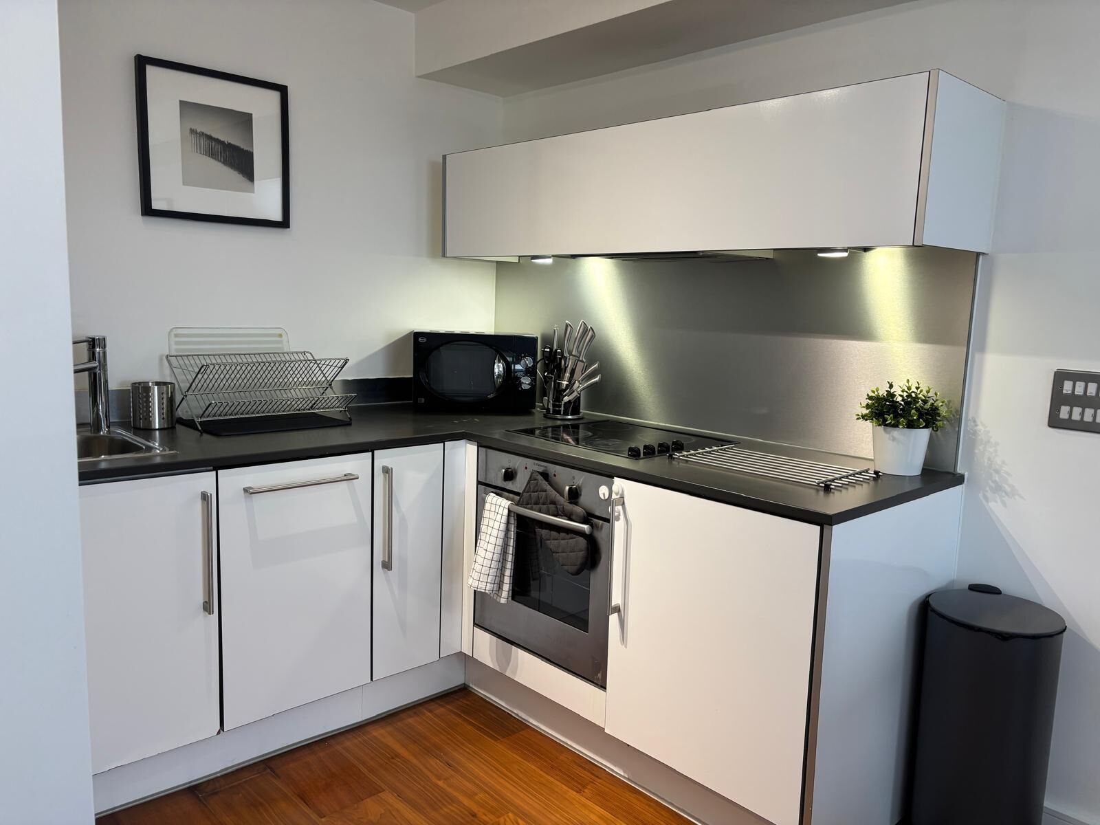 Microwave, oven, stovetop, dishwasher