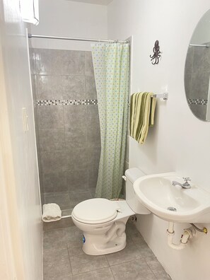 Shower, hair dryer, towels, toilet paper