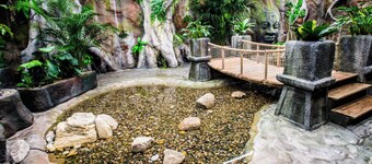 Romantic Retreat place - Forest Starlight dreams