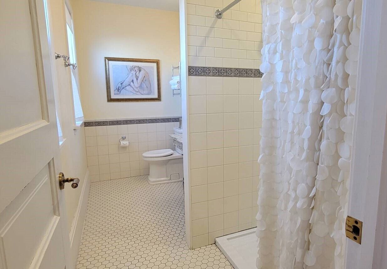 A bathroom with a toilet, a shower, and a framed picture on the wall.
