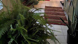 Un interior acogedor con una planta de helecho grande, un tapete rojo y un aparador de madera con obras de arte.