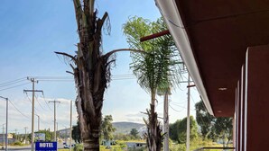 A hotel entrance with a palm tree, a sign for 'HOTEL SAN JOSE', and a view of the surrounding area including a road and distant hills. - Hotel San Jose  (Tepeaca)