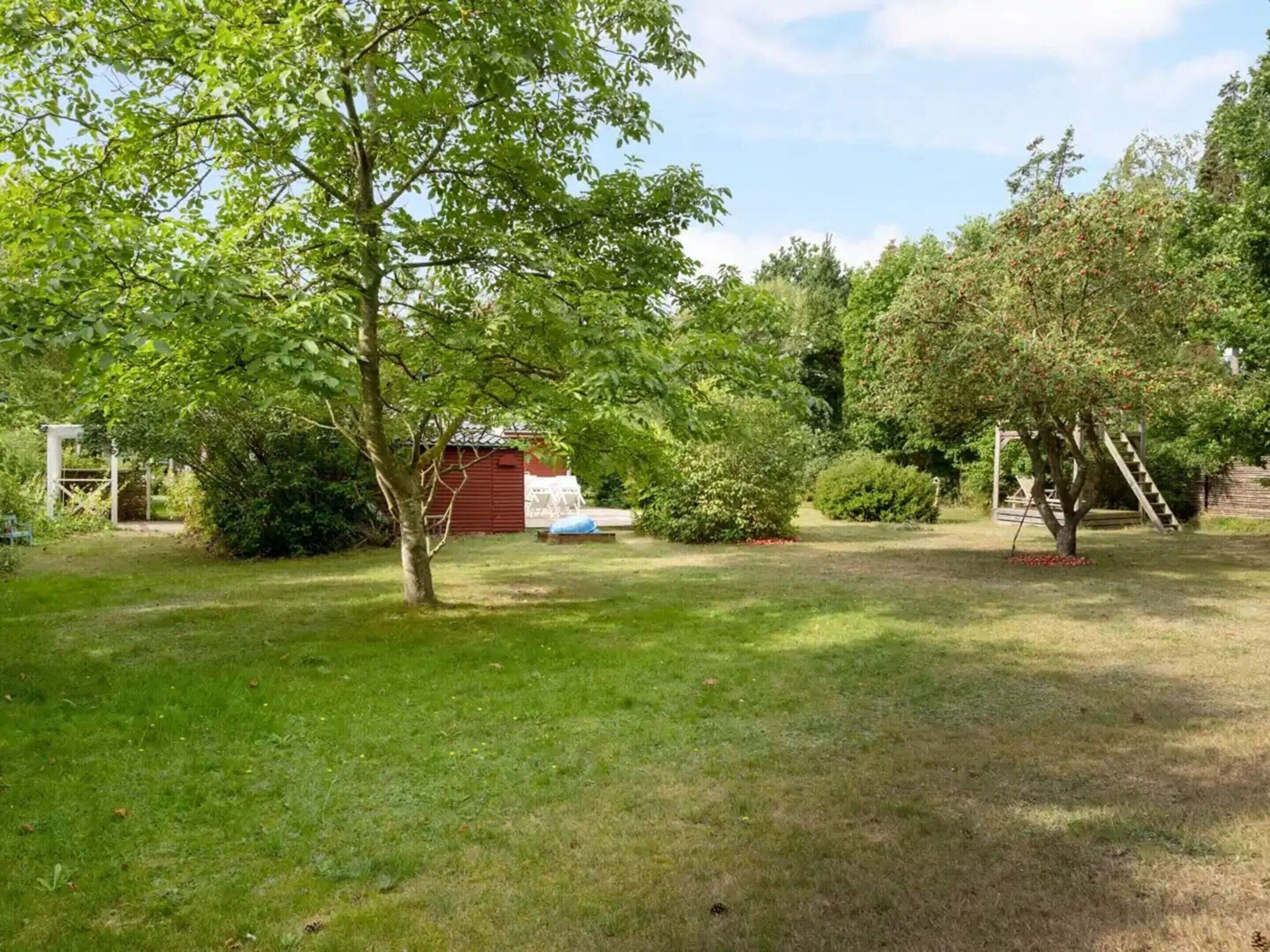 House | Property grounds