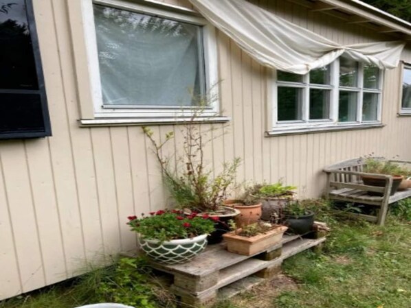 A house with a white exterior, a window with a white curtain, and a wooden bench with potted plants.