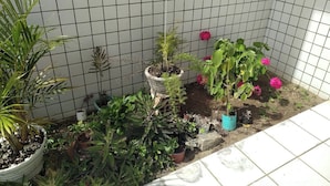Un petit espace jardin aménagé avec différentes plantes et fleurs en pot, le tout délimité par un mur recouvert de carreaux.