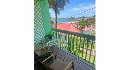 The Green Iguana Hotel